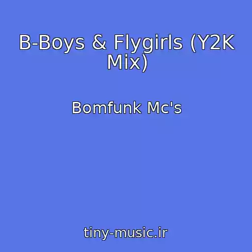 کاور آهنگ B-Boys & Flygirls (Y2K Mix) از Bomfunk Mc's