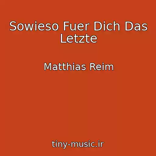 کاور آهنگ Sowieso Fuer Dich Das Letzte از Matthias Reim