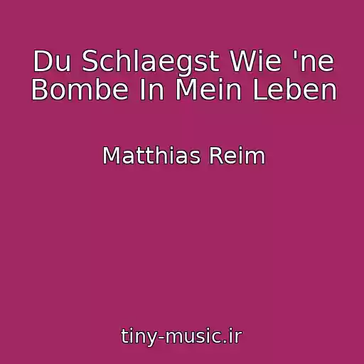 کاور آهنگ Du Schlaegst Wie 'ne Bombe In Mein Leben از Matthias Reim