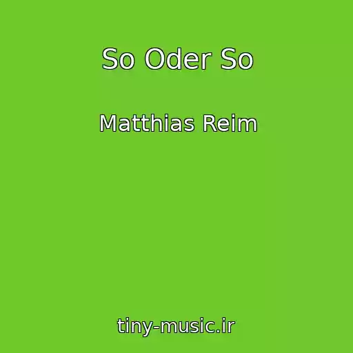 کاور آهنگ So Oder So از Matthias Reim