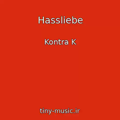 کاور آهنگ Hassliebe از Kontra K