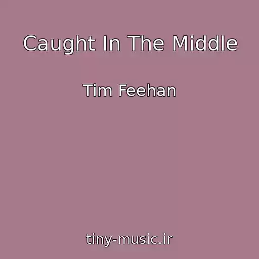 کاور آهنگ Caught In The Middle از Tim Feehan