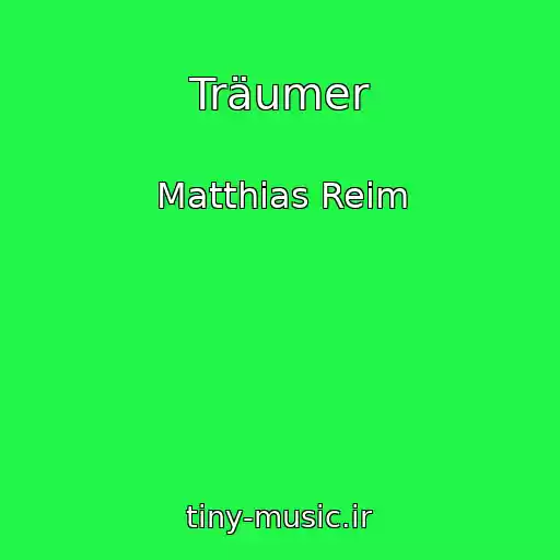 کاور آهنگ Träumer از Matthias Reim