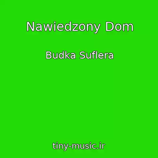 کاور آهنگ Nawiedzony Dom از Budka Suflera