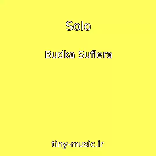 کاور آهنگ Solo از Budka Suflera