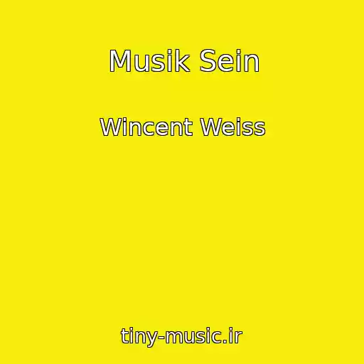 کاور آهنگ Musik Sein از Wincent Weiss