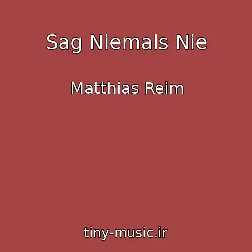 کاور آهنگ Sag Niemals Nie از Matthias Reim