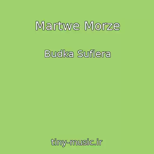 کاور آهنگ Martwe Morze از Budka Suflera