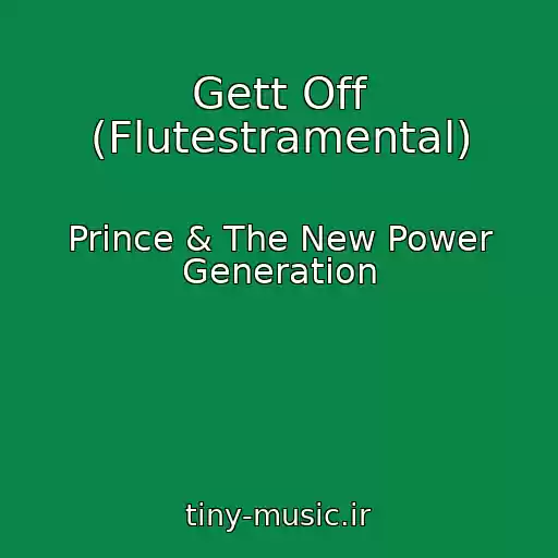 کاور آهنگ Gett Off (Flutestramental) از Prince & The New Power Generation
