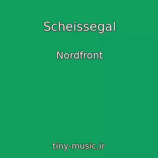 کاور آهنگ Scheissegal از Nordfront