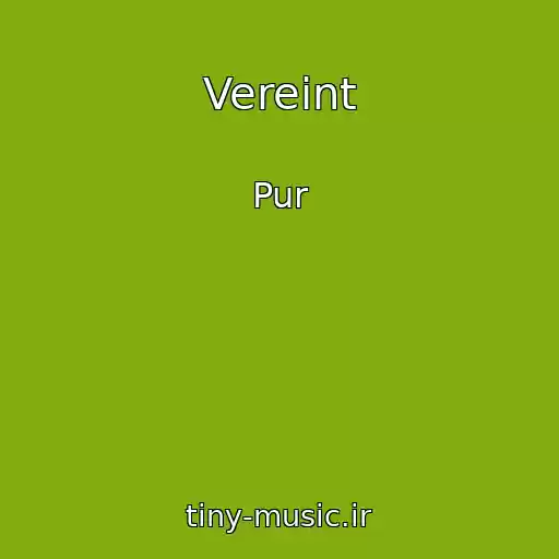 کاور آهنگ Vereint از Pur