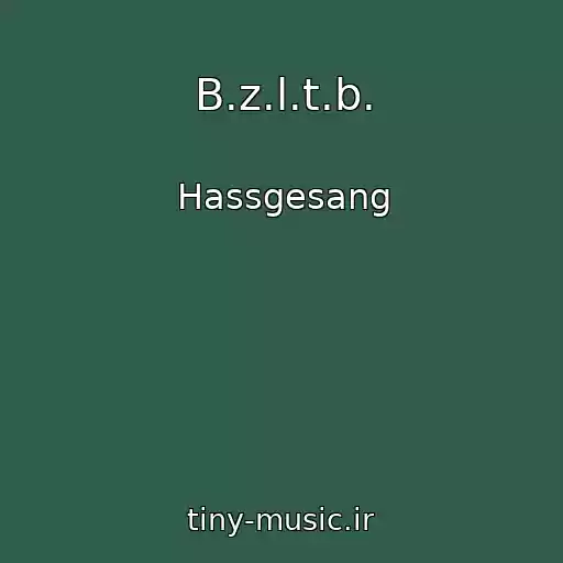 کاور آهنگ B.z.l.t.b. از Hassgesang
