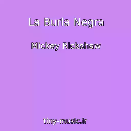 کاور آهنگ La Burla Negra از Mickey Rickshaw