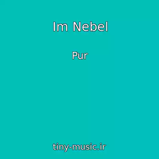 کاور آهنگ Im Nebel از Pur