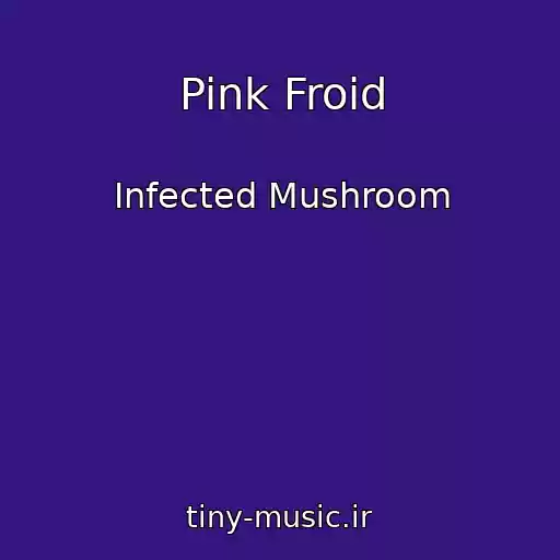 کاور آهنگ Pink Froid از Infected Mushroom