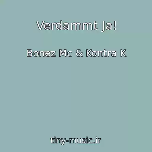کاور آهنگ Verdammt Ja! از Bonez Mc & Kontra K