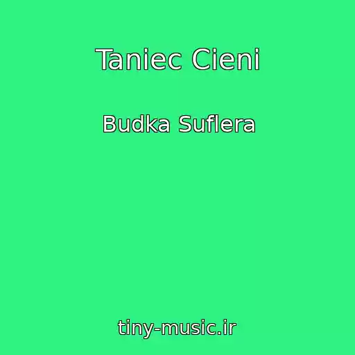 کاور آهنگ Taniec Cieni از Budka Suflera