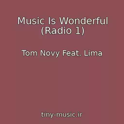 کاور آهنگ Music Is Wonderful (Radio 1) از Tom Novy Feat. Lima