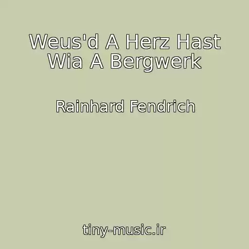 کاور آهنگ Weus'd A Herz Hast Wia A Bergwerk از Rainhard Fendrich