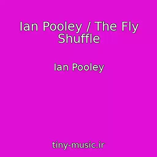 کاور آهنگ Ian Pooley / The Fly Shuffle از Ian Pooley