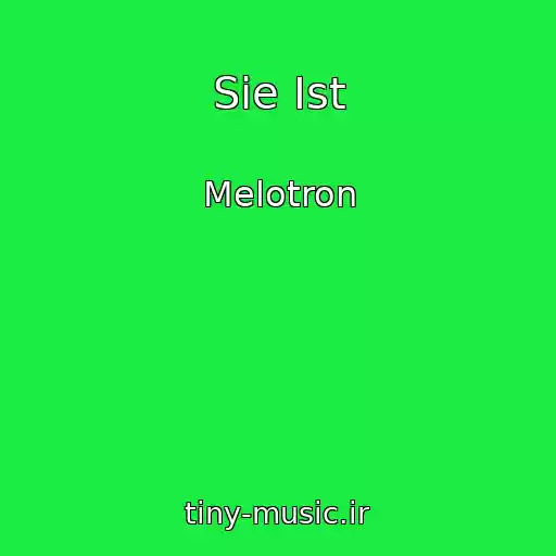 کاور آهنگ Sie Ist از Melotron