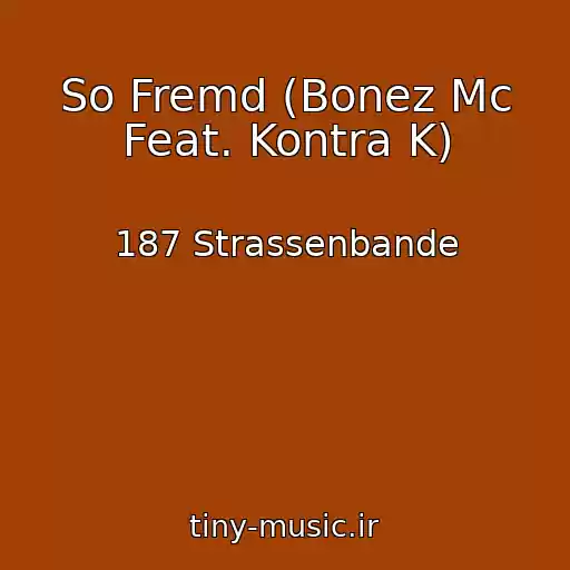 کاور آهنگ So Fremd (Bonez Mc Feat. Kontra K) از 187 Strassenbande