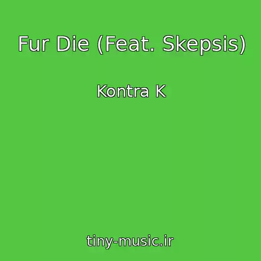 کاور آهنگ Fur Die (Feat. Skepsis) از Kontra K