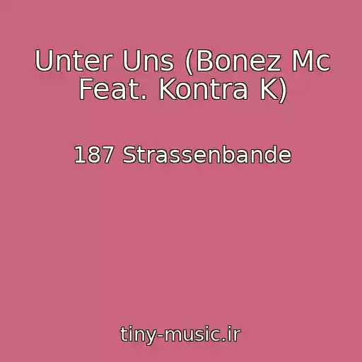 کاور آهنگ Unter Uns (Bonez Mc Feat. Kontra K) از 187 Strassenbande