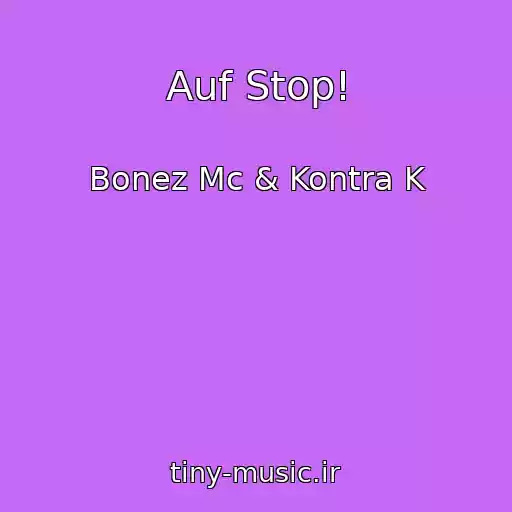کاور آهنگ Auf Stop! از Bonez Mc & Kontra K