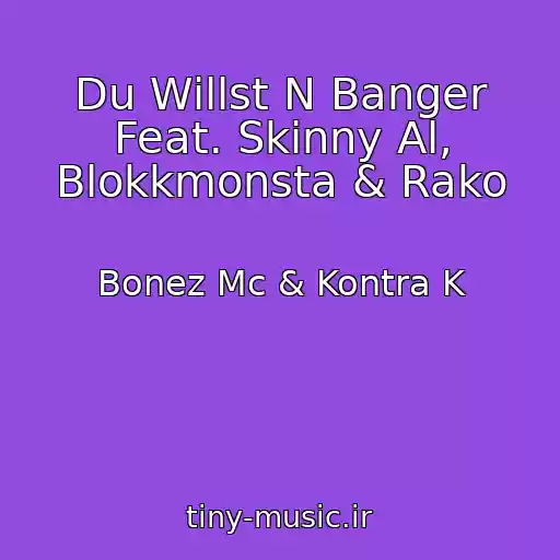 کاور آهنگ Du Willst N Banger Feat. Skinny Al, Blokkmonsta & Rako از Bonez Mc & Kontra K