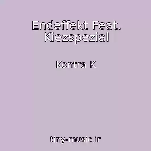 کاور آهنگ Endeffekt Feat. Kiezspezial از Kontra K