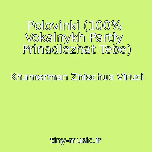 کاور آهنگ Polovinki (100%  Vokalnykh Partiy  Prinadlezhat Tebe) از Khamerman Znischuє Vіrusi