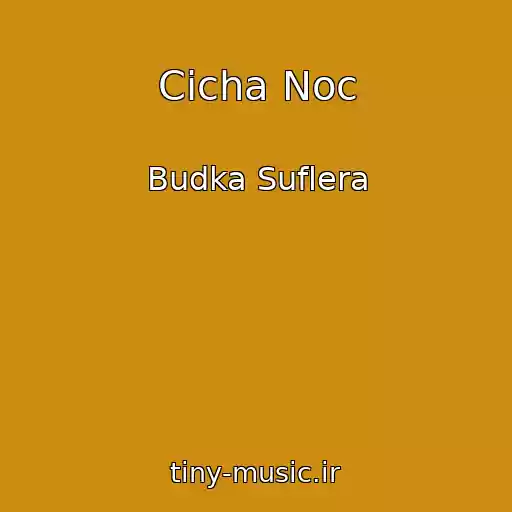 کاور آهنگ Cicha Noc از Budka Suflera