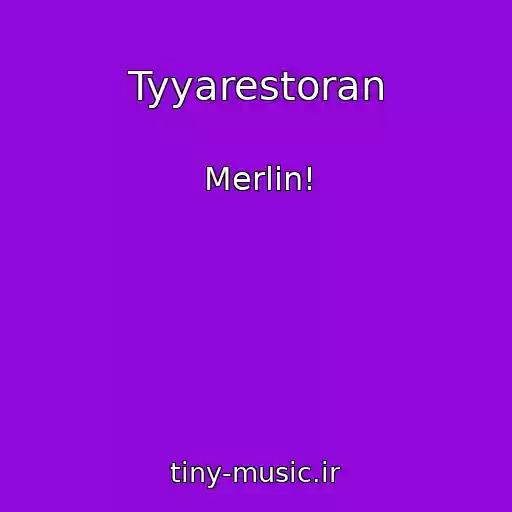 کاور آهنگ Tyyarestoran از Merlin!