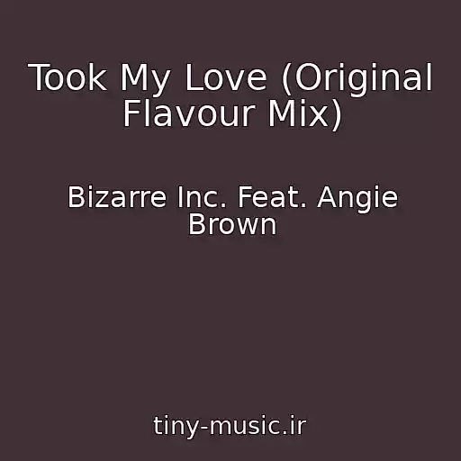 کاور آهنگ Took My Love (Original Flavour Mix) از Bizarre Inc. Feat. Angie Brown