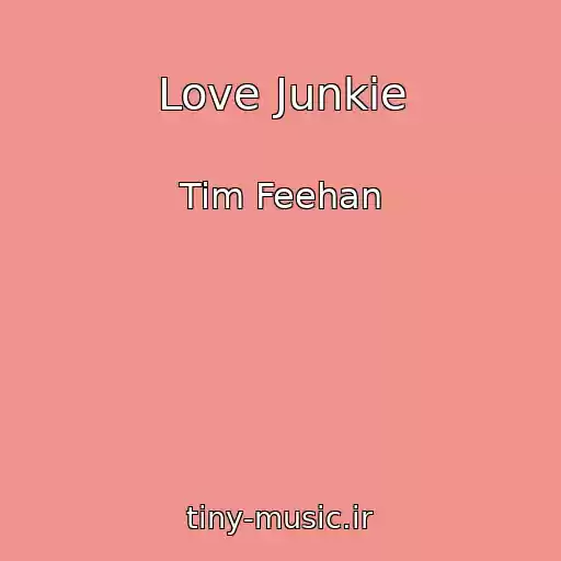 کاور آهنگ Love Junkie از Tim Feehan