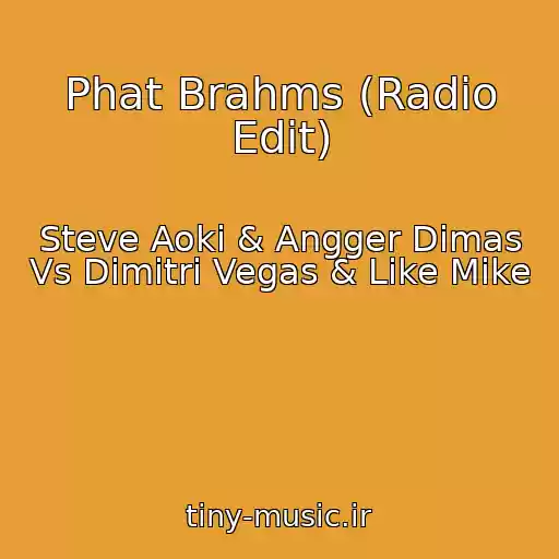 کاور آهنگ Phat Brahms (Radio Edit) از Steve Aoki & Angger Dimas Vs Dimitri Vegas & Like Mike