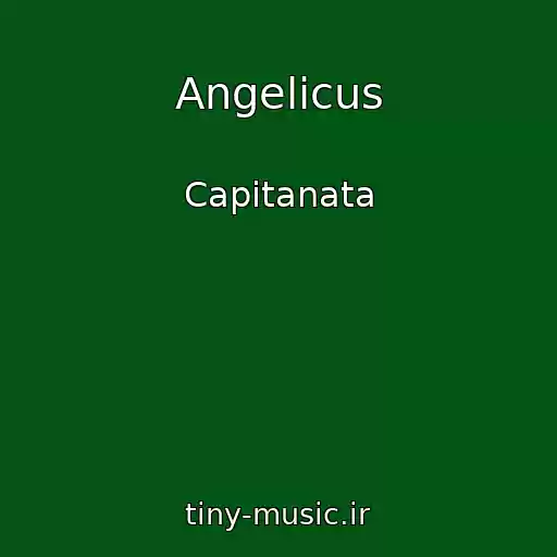 کاور آهنگ Angelicus از Capitanata