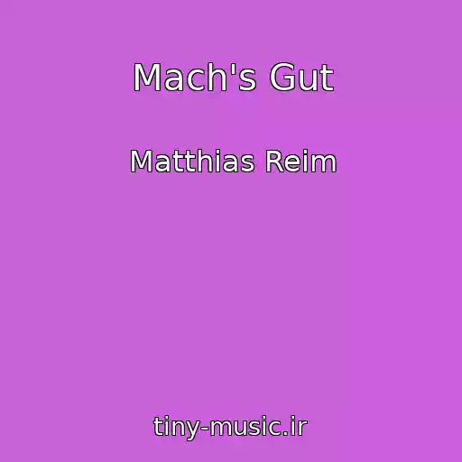 کاور آهنگ Mach's Gut از Matthias Reim