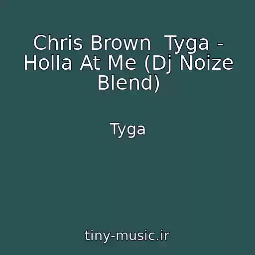 کاور آهنگ Chris Brown  Tyga - Holla At Me (Dj Noize Blend) از Tyga