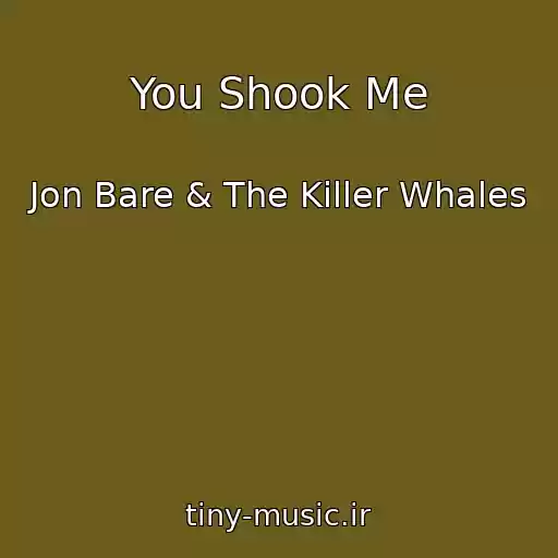 کاور آهنگ You Shook Me از Jon Bare & The Killer Whales