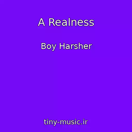 کاور آهنگ A Realness از Boy Harsher