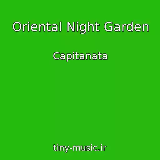 کاور آهنگ Oriental Night Garden از Capitanata