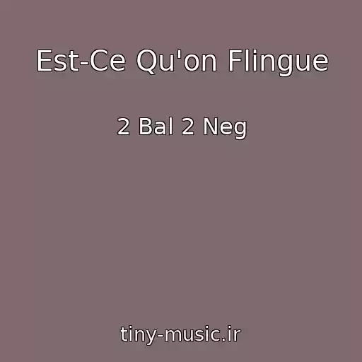 کاور آهنگ Est-Ce Qu'on Flingue از 2 Bal 2 Neg