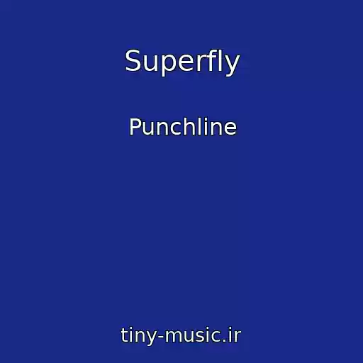 کاور آهنگ Superfly از Punchline
