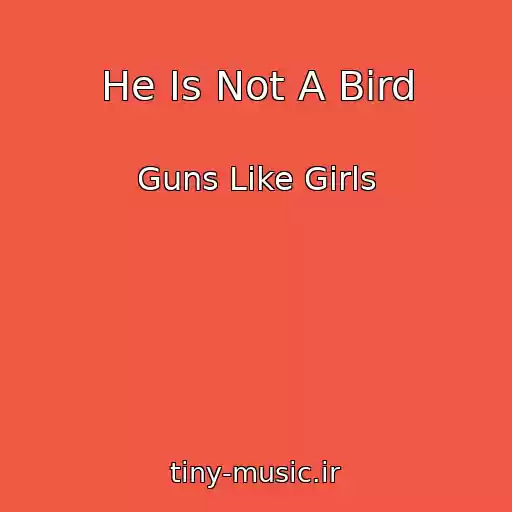 کاور آهنگ He Is Not A Bird از Guns Like Girls