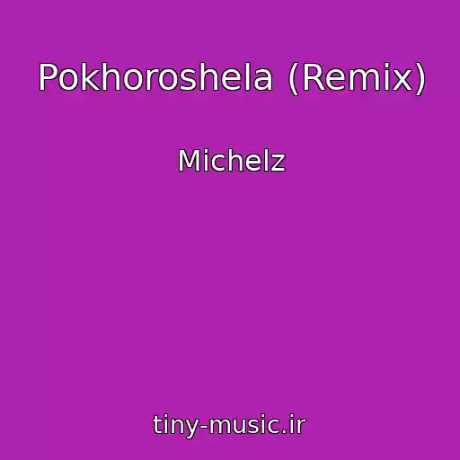 کاور آهنگ Pokhoroshela (Remix) از Michelz