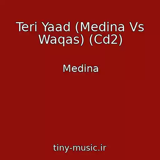 کاور آهنگ Teri Yaad (Medina Vs Waqas) (Cd2) از Medina