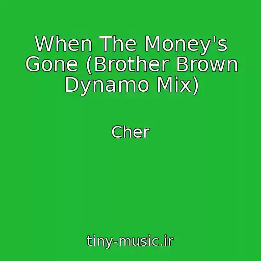 کاور آهنگ When The Money's Gone (Brother Brown Dynamo Mix) از Cher