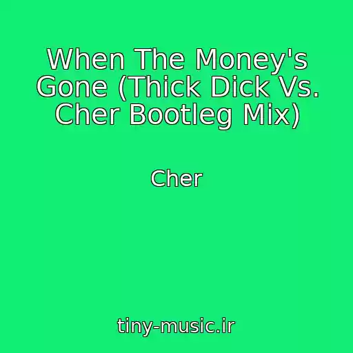 کاور آهنگ When The Money's Gone (Thick Dick Vs. Cher Bootleg Mix) از Cher